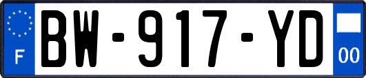 BW-917-YD