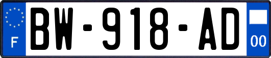 BW-918-AD