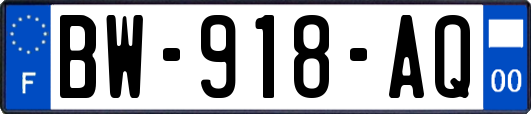 BW-918-AQ