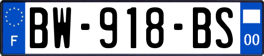 BW-918-BS