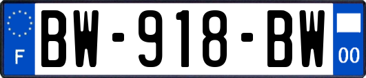 BW-918-BW