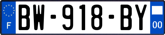 BW-918-BY