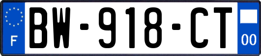 BW-918-CT