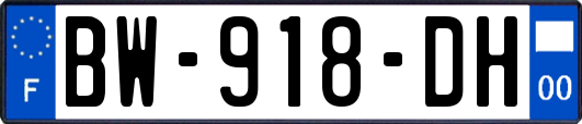 BW-918-DH