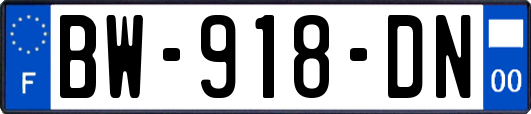 BW-918-DN