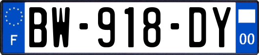 BW-918-DY