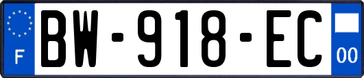 BW-918-EC