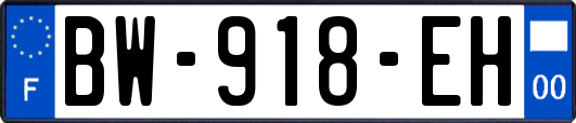 BW-918-EH