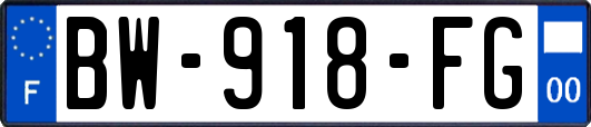 BW-918-FG