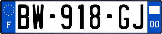 BW-918-GJ