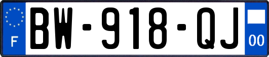 BW-918-QJ
