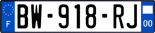 BW-918-RJ
