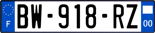 BW-918-RZ