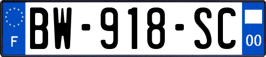BW-918-SC
