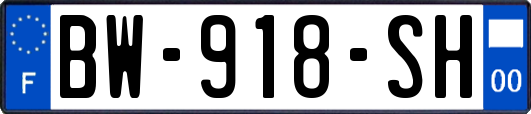 BW-918-SH