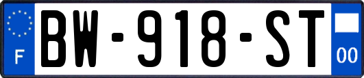 BW-918-ST