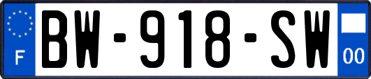 BW-918-SW