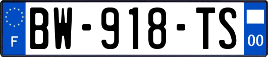 BW-918-TS