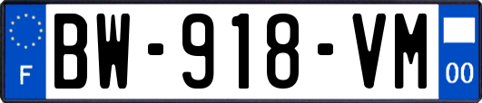BW-918-VM