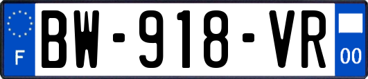 BW-918-VR