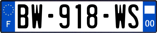 BW-918-WS
