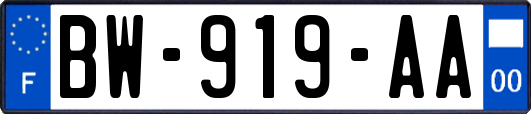 BW-919-AA