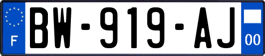 BW-919-AJ