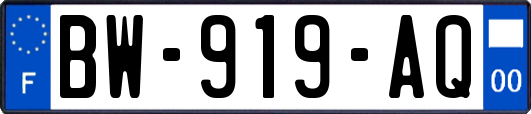 BW-919-AQ