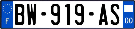 BW-919-AS