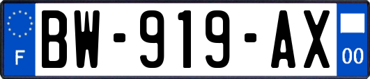 BW-919-AX