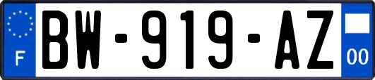 BW-919-AZ