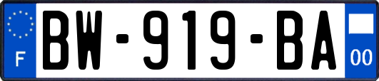 BW-919-BA