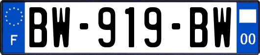 BW-919-BW