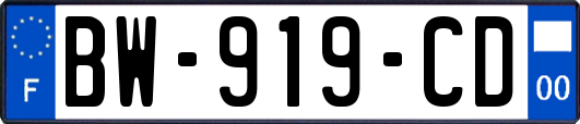 BW-919-CD