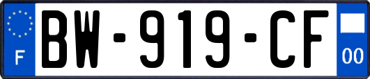 BW-919-CF