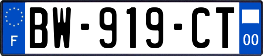 BW-919-CT