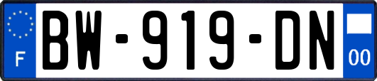 BW-919-DN