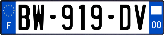 BW-919-DV