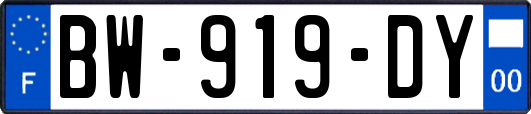 BW-919-DY