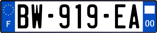 BW-919-EA