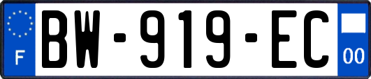 BW-919-EC