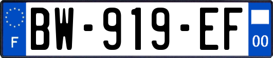 BW-919-EF