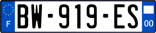 BW-919-ES