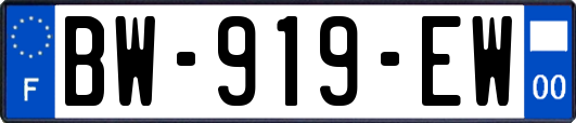 BW-919-EW