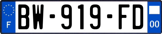 BW-919-FD