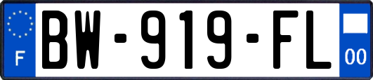 BW-919-FL