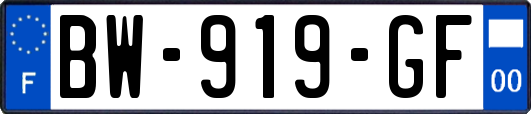 BW-919-GF