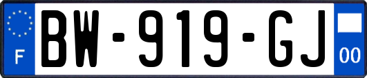 BW-919-GJ