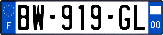 BW-919-GL