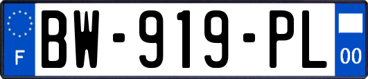 BW-919-PL